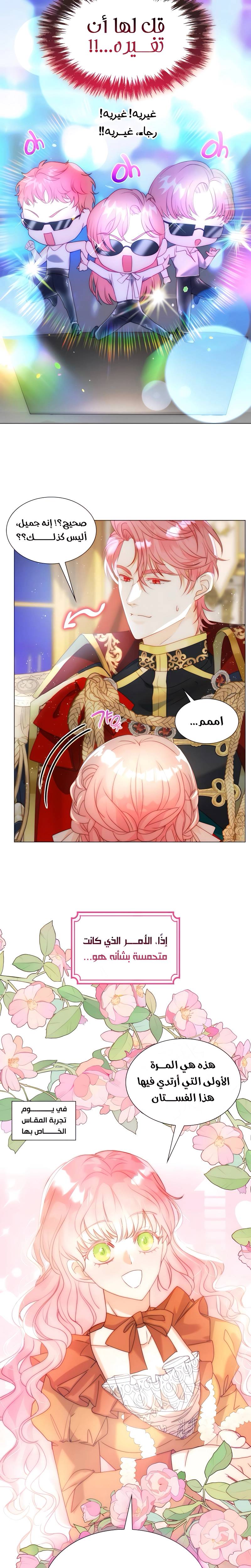 الصفحة 11