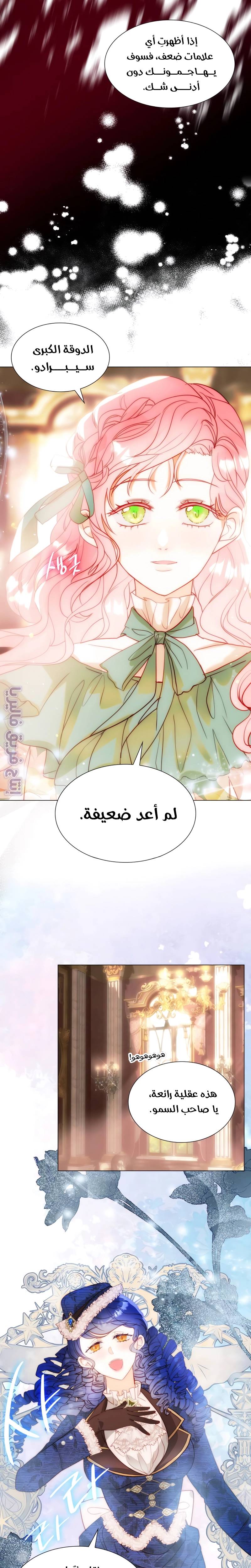 الصفحة 15