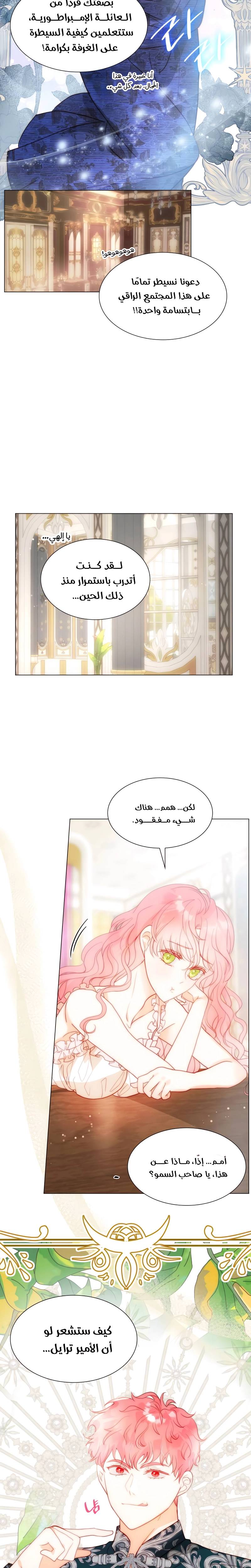 الصفحة 16