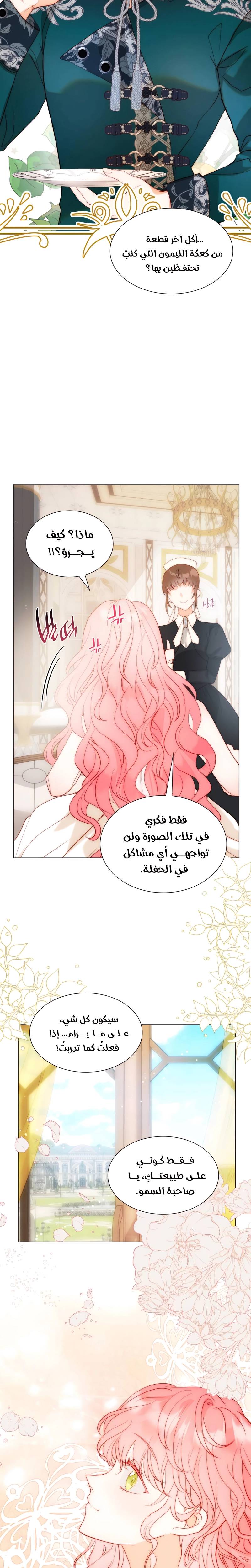 الصفحة 17