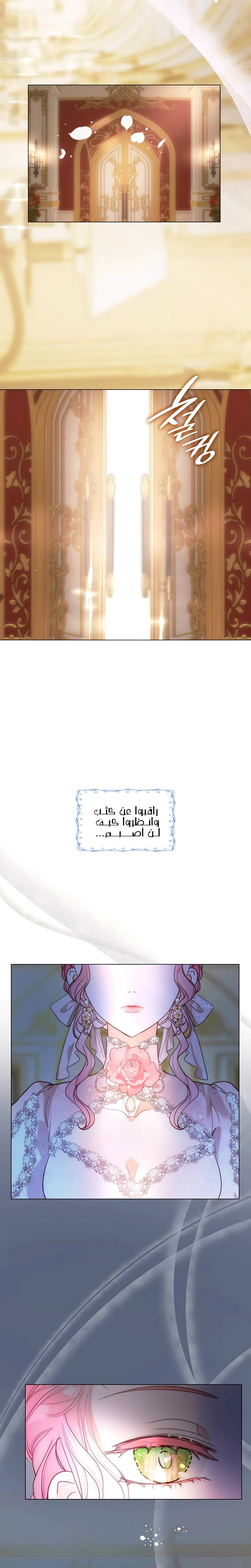 الصفحة 20