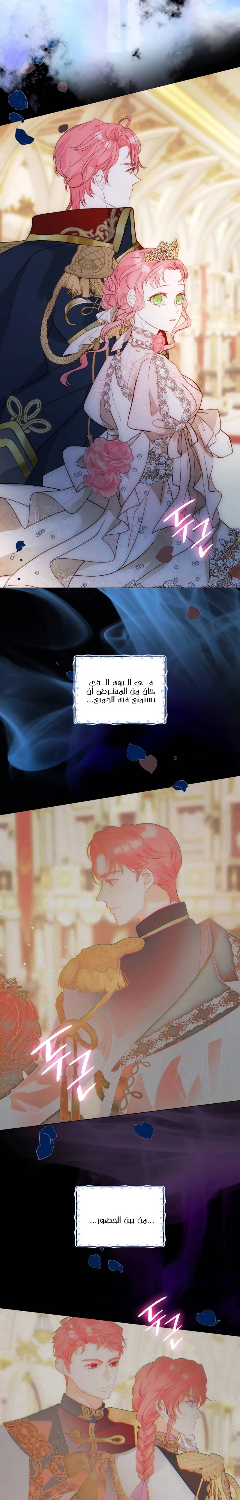 الصفحة 24