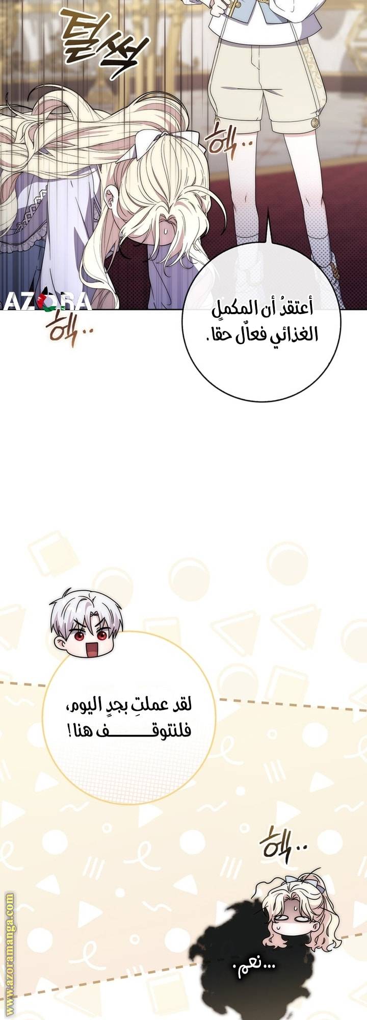 الصفحة 14