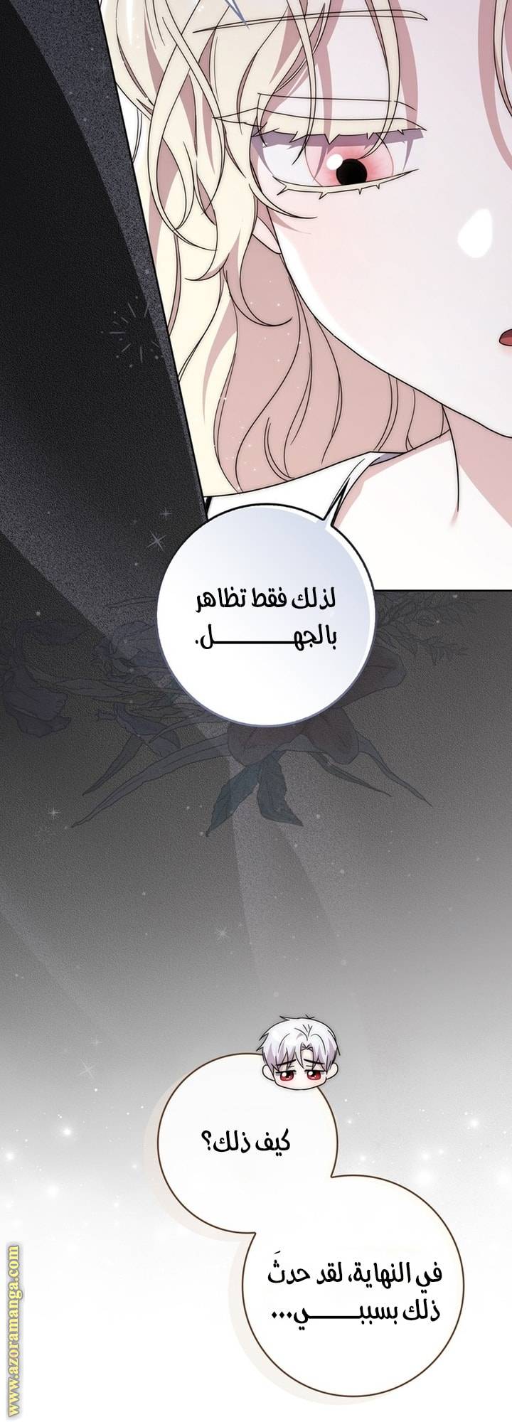 الصفحة 29