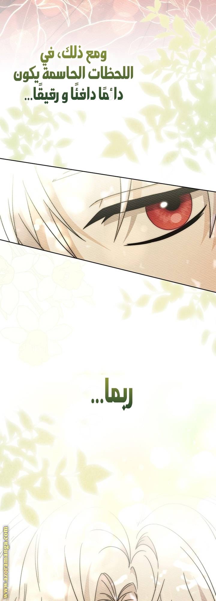 الصفحة 36