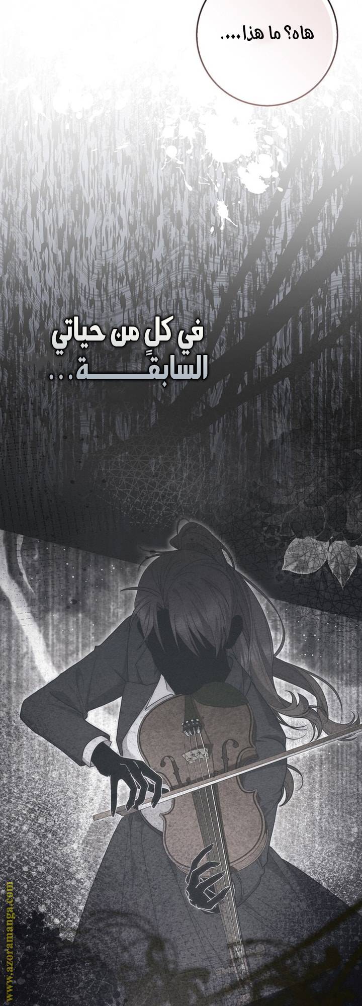 الصفحة 43