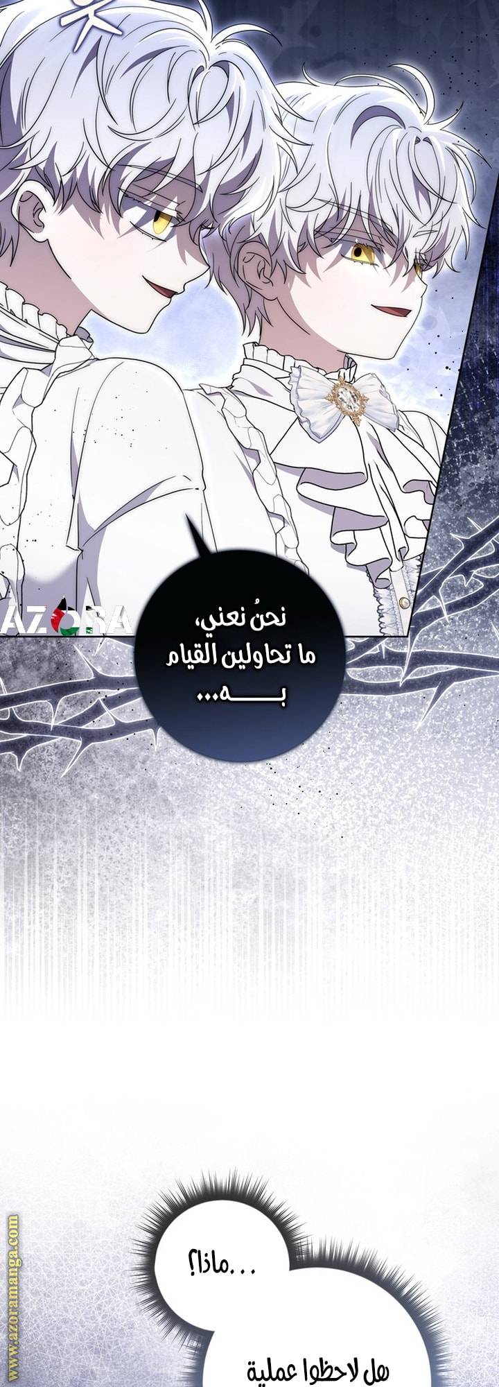 الصفحة 12