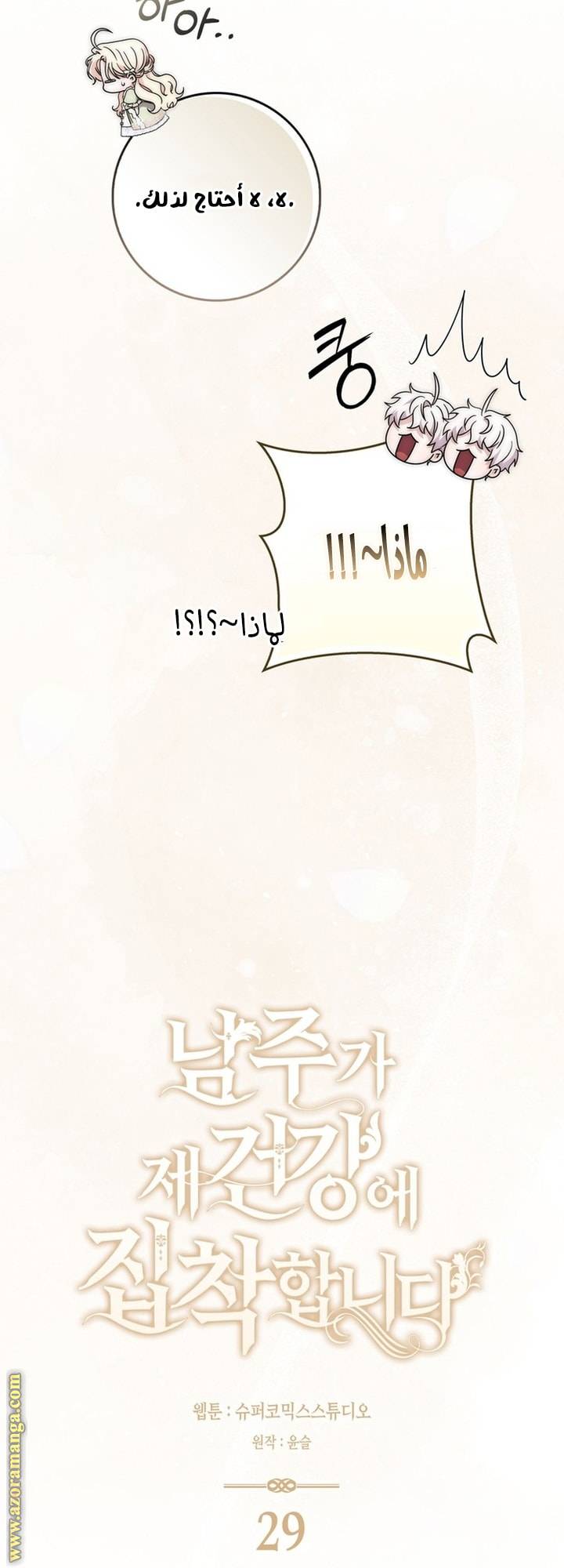 الصفحة 17