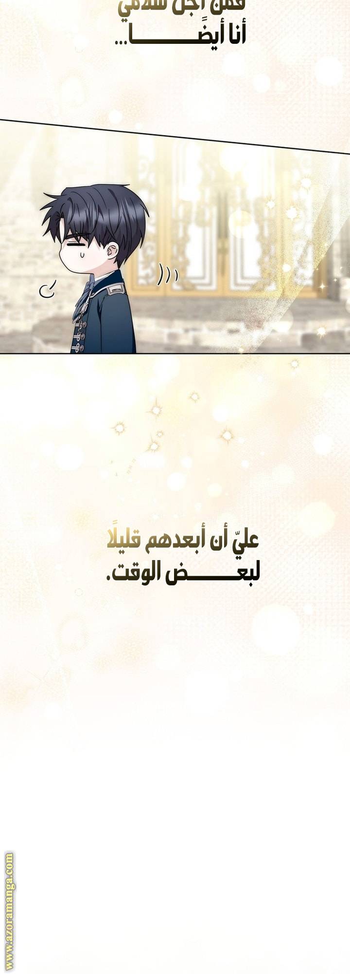 الصفحة 43