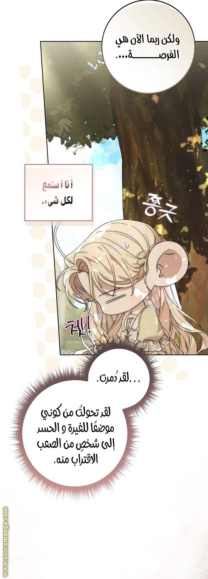 الصفحة 46