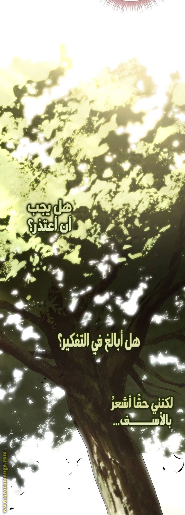 الصفحة 48