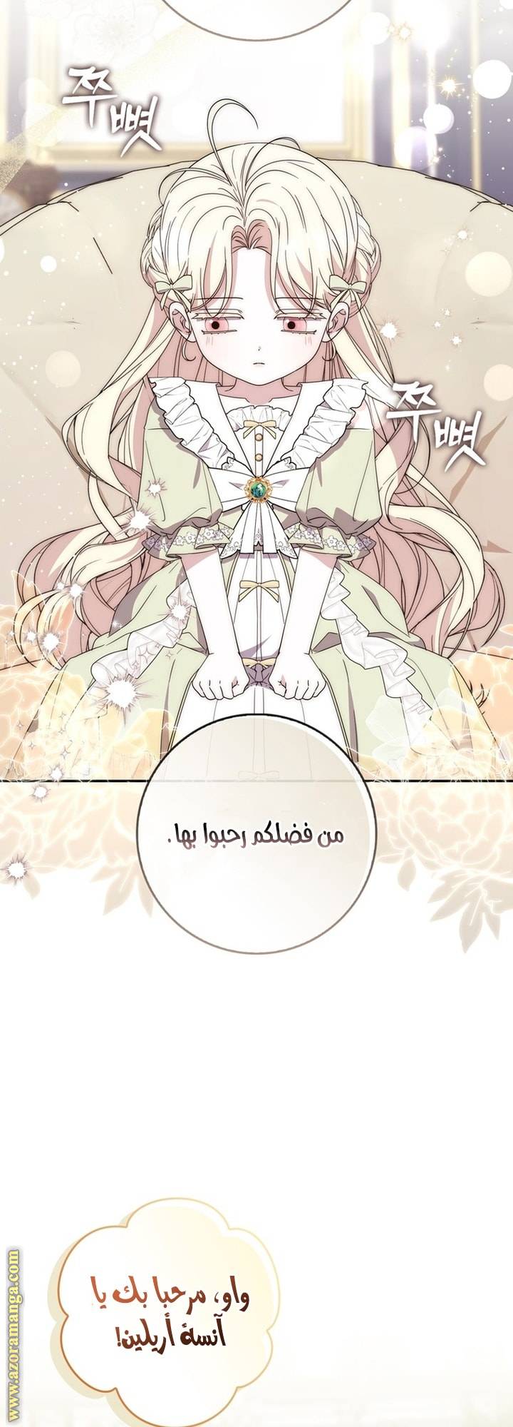 الصفحة 25