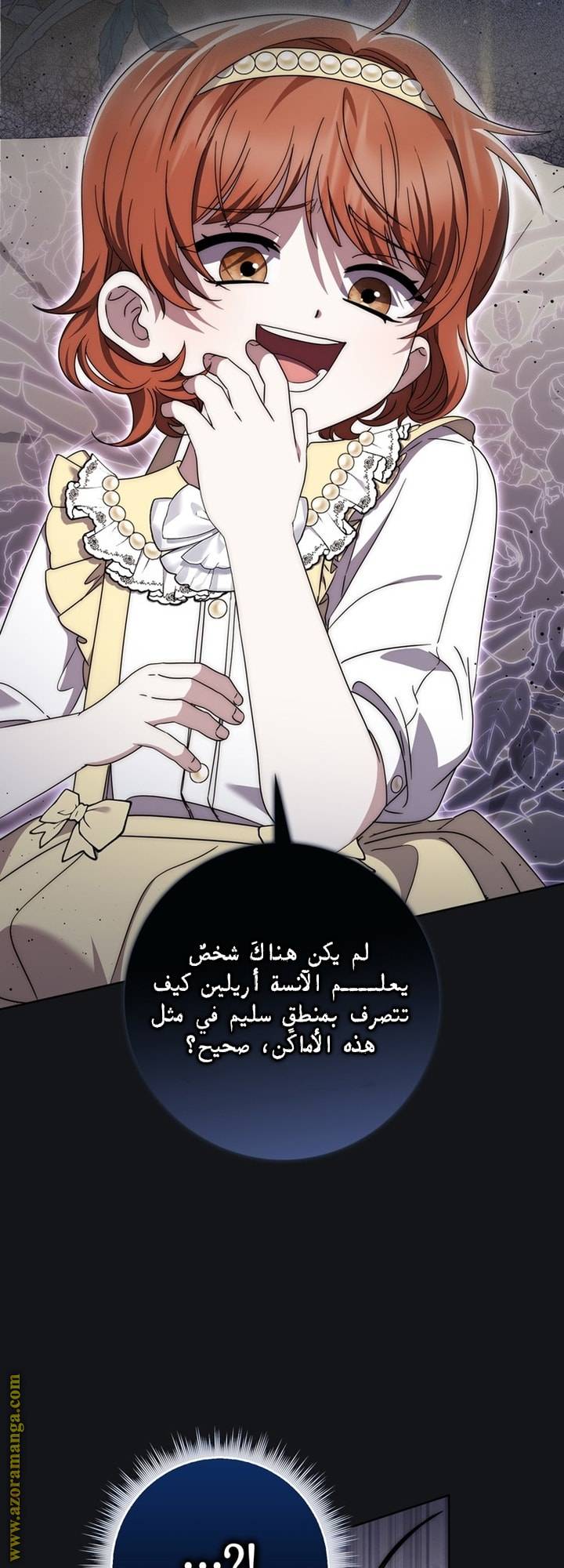 الصفحة 43