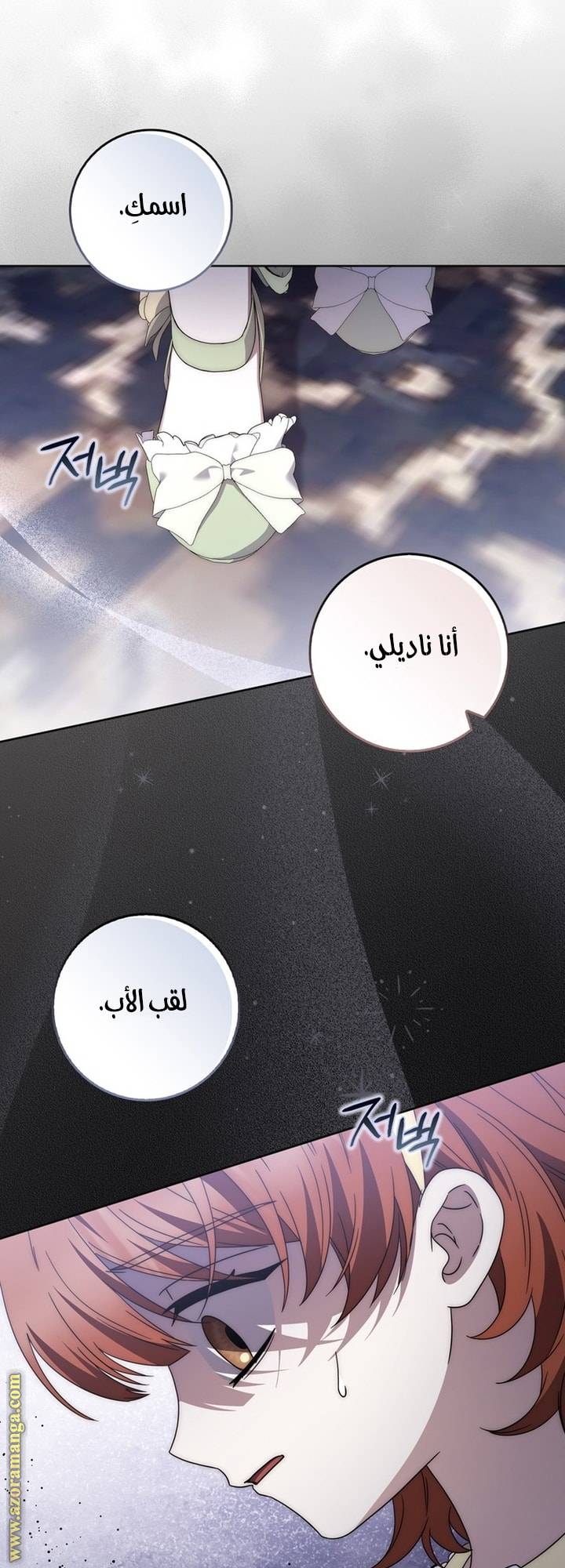 الصفحة 14