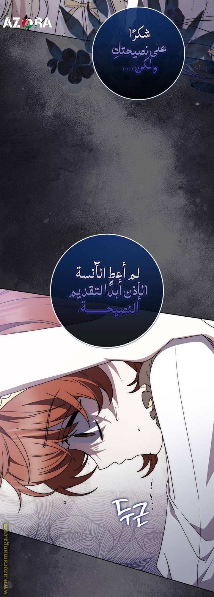 الصفحة 17