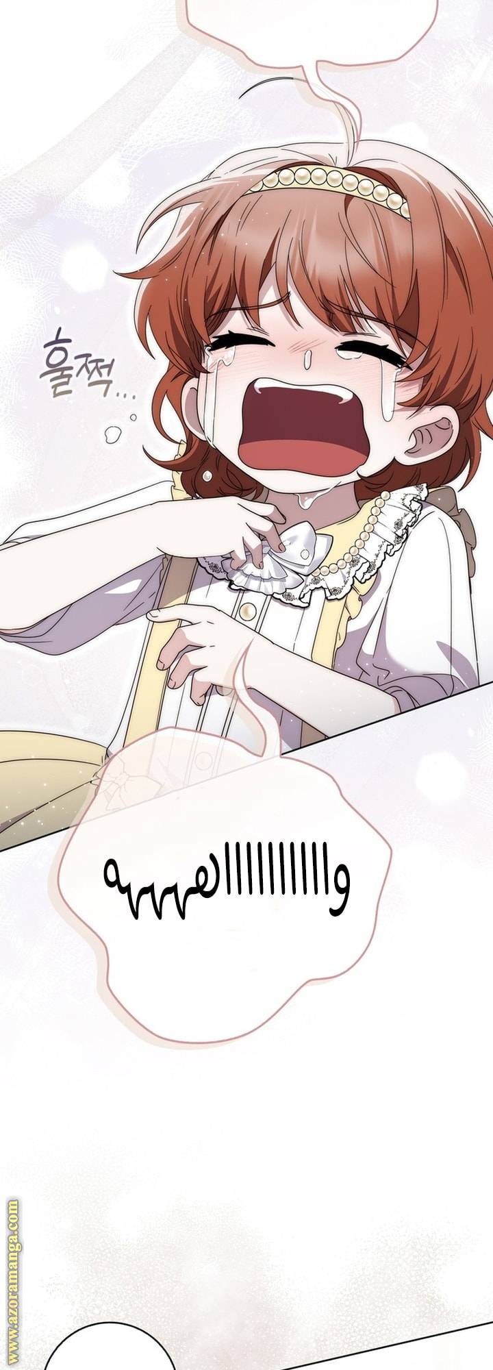 الصفحة 21