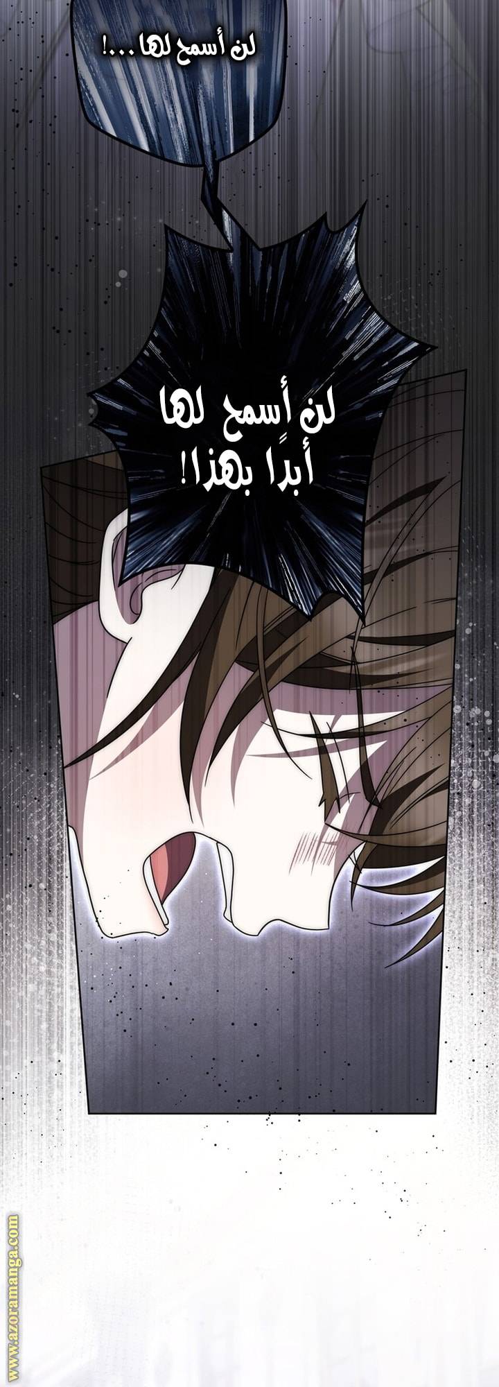 الصفحة 60