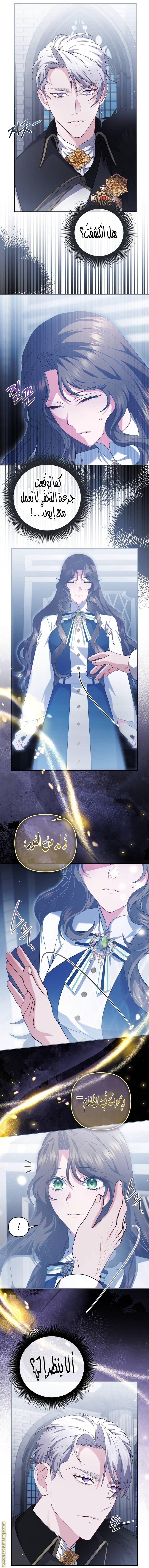 الصفحة 7
