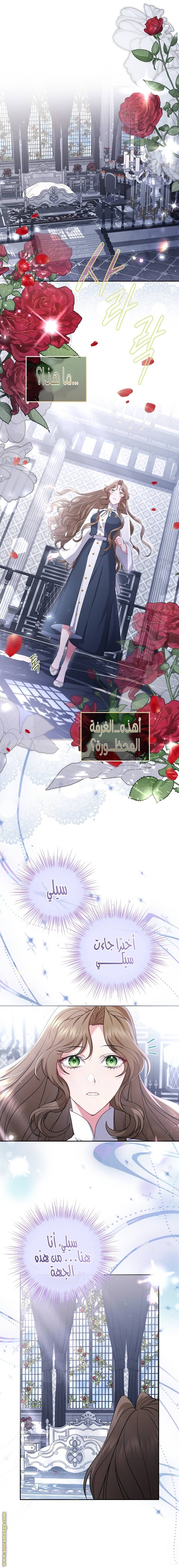 الصفحة 16