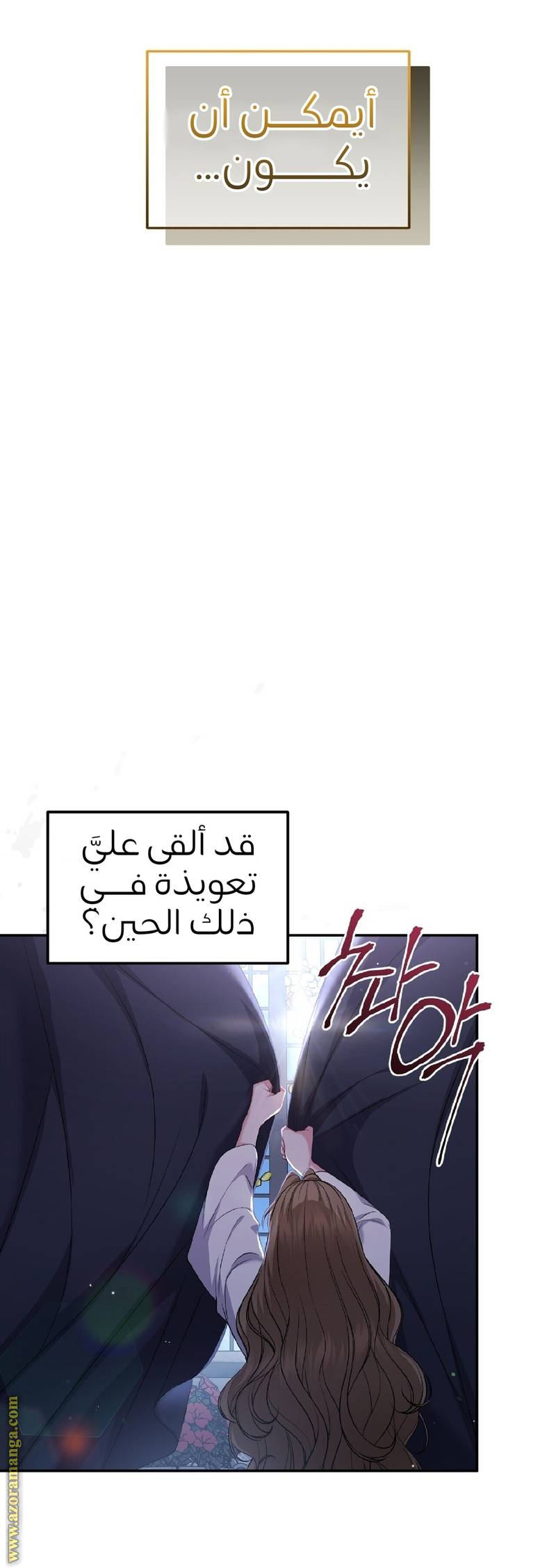 الصفحة 25