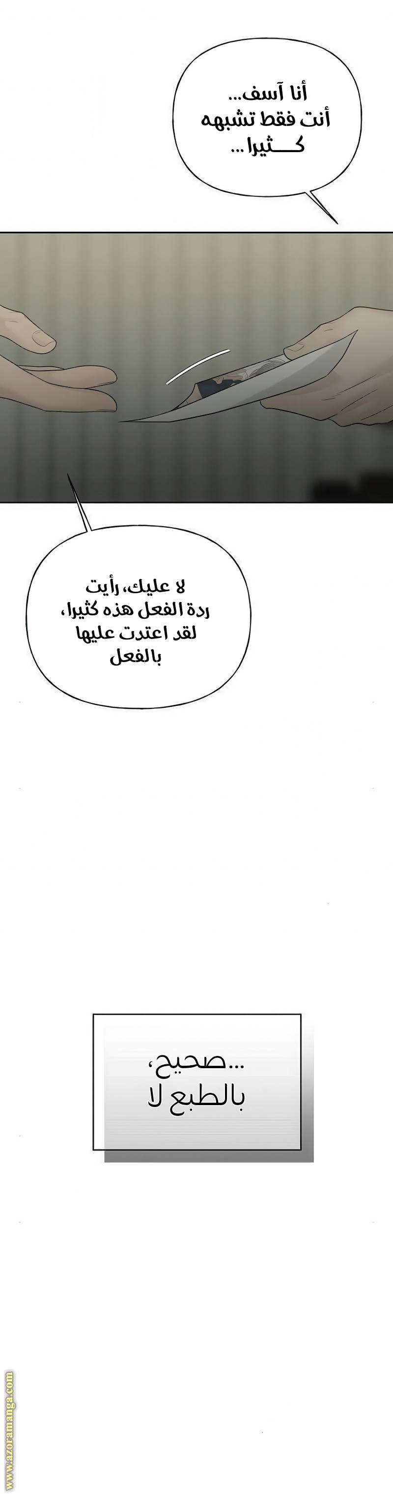 الصفحة 13