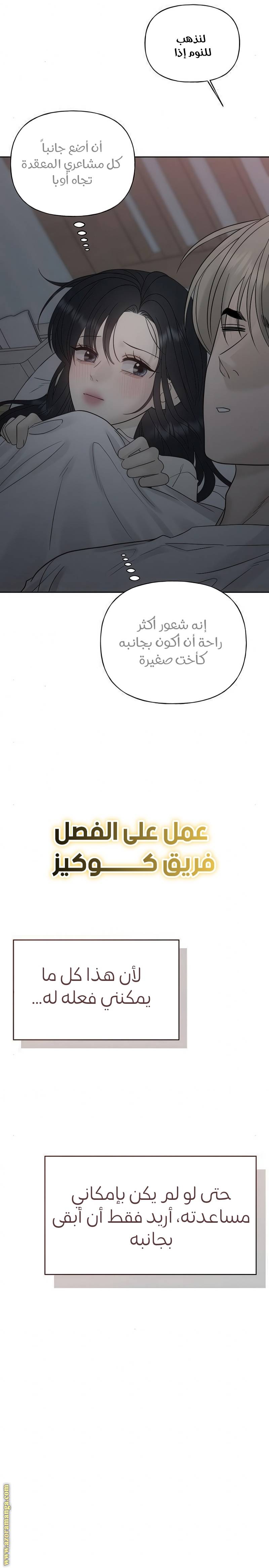 الصفحة 41