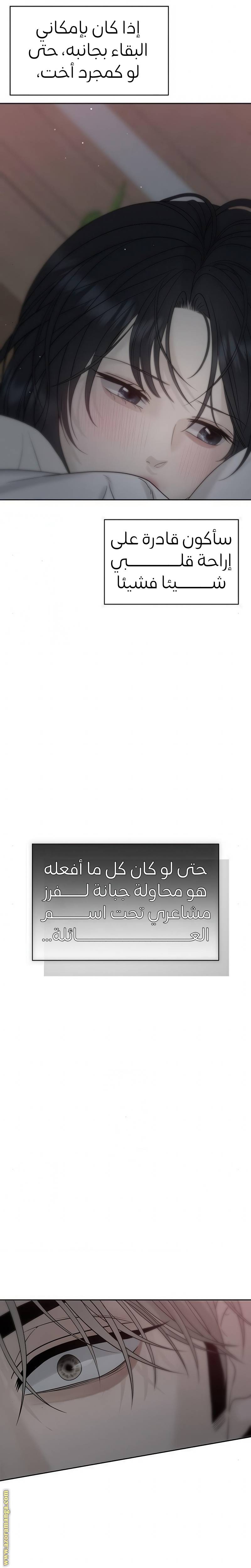 الصفحة 46