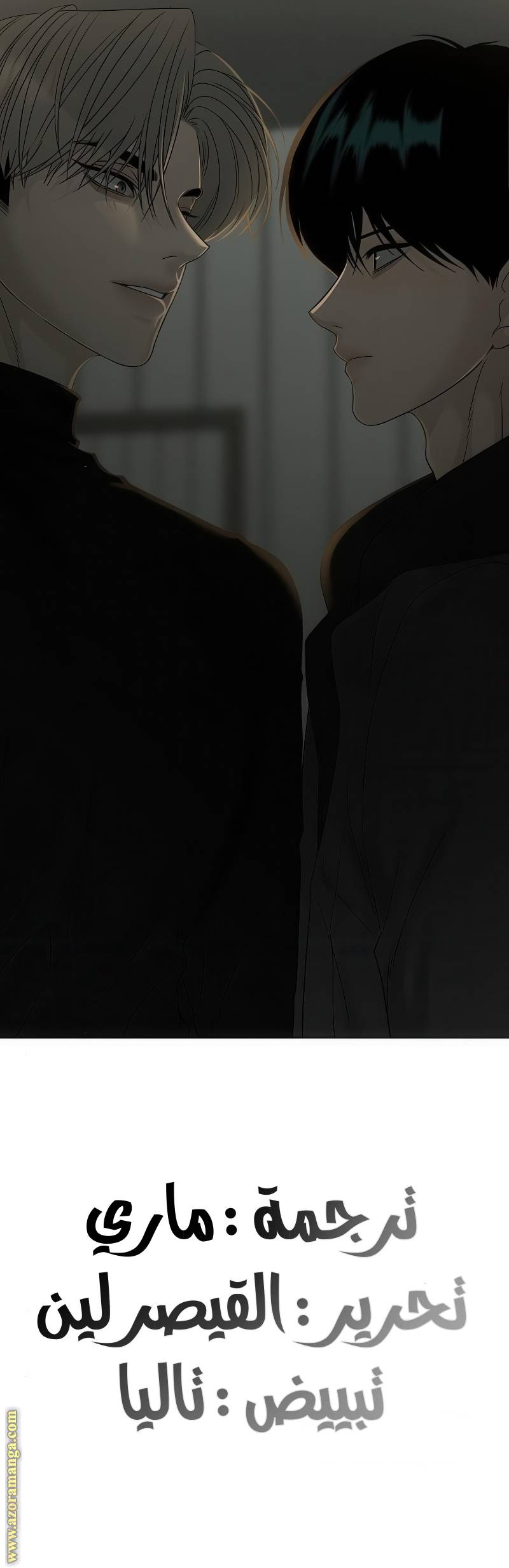 الصفحة 15