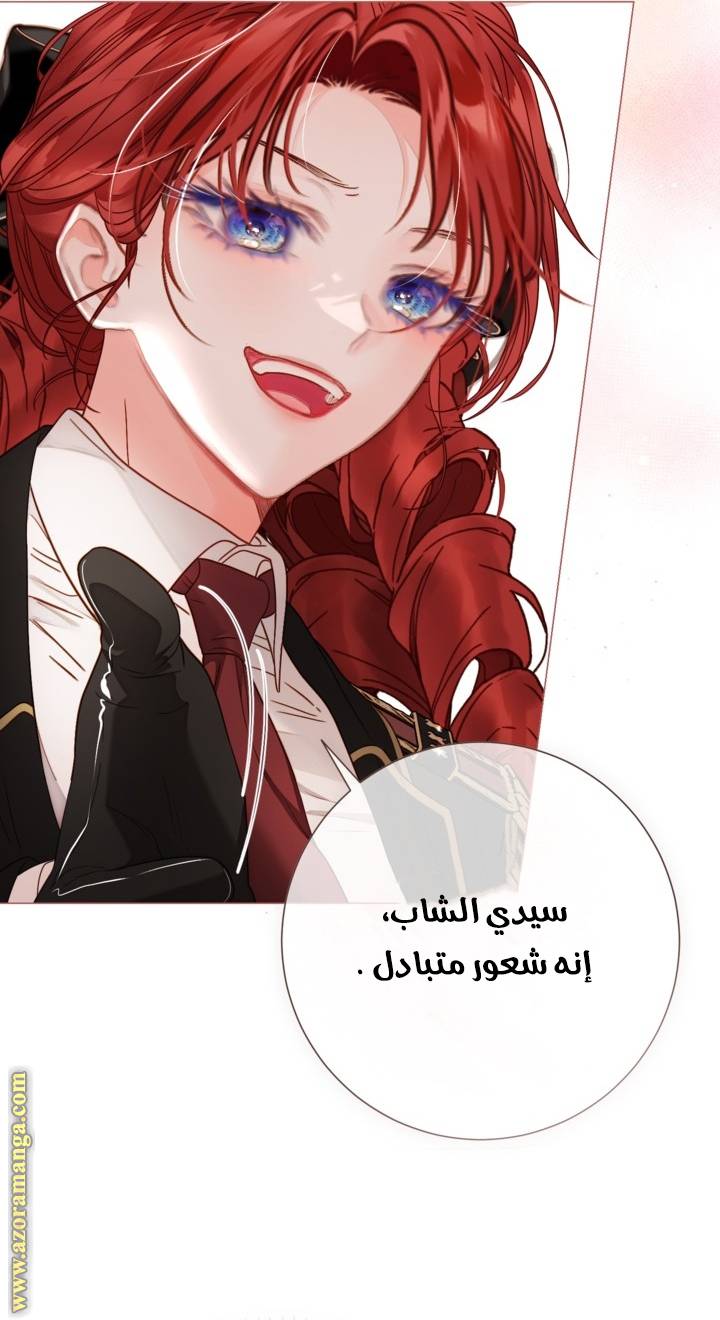 الصفحة 20