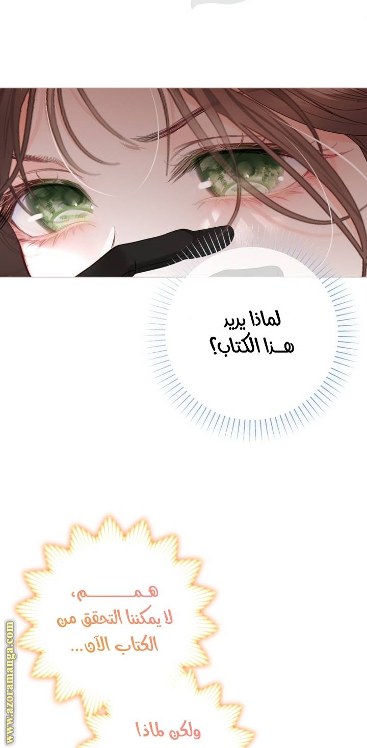 الصفحة 42