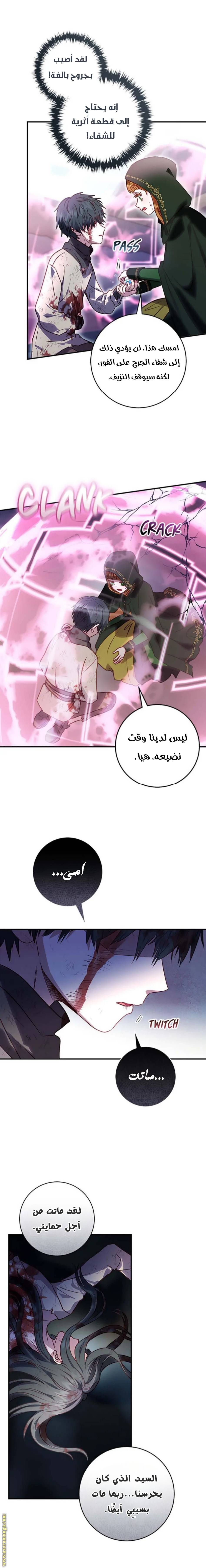 الصفحة 12