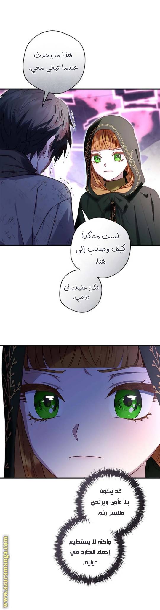 الصفحة 13