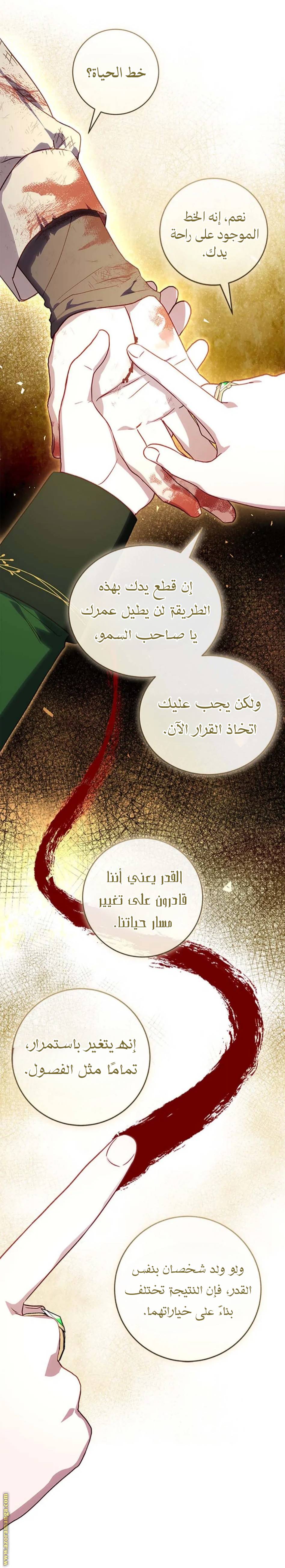 الصفحة 17