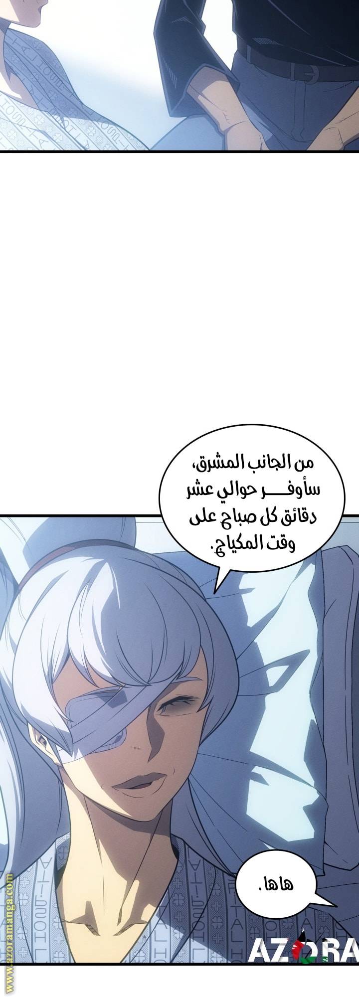 الصفحة 43