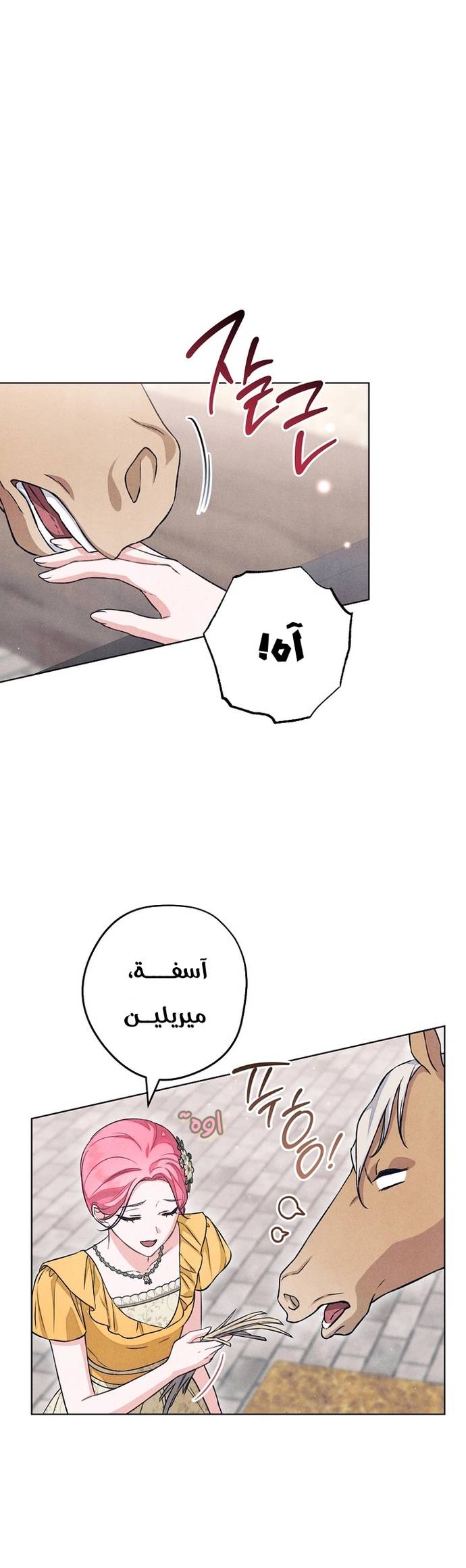 الصفحة 18