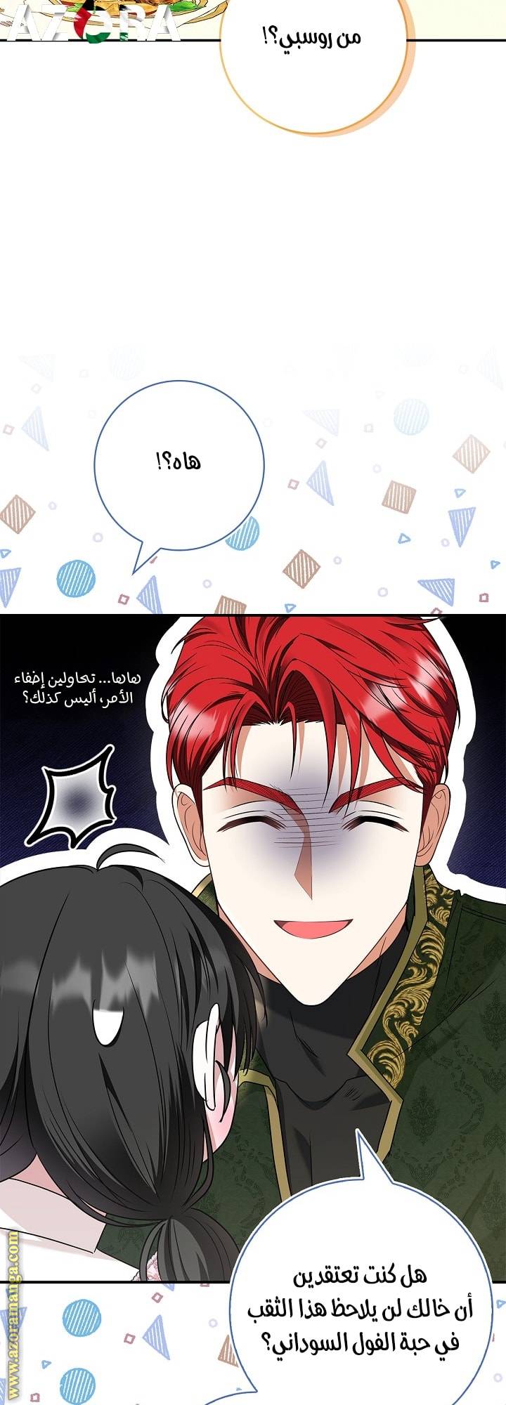 الصفحة 19