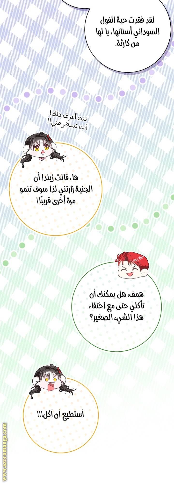 الصفحة 27