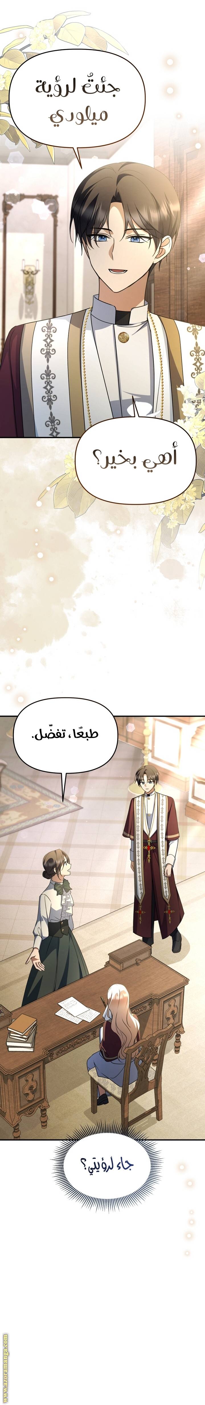 الصفحة 17