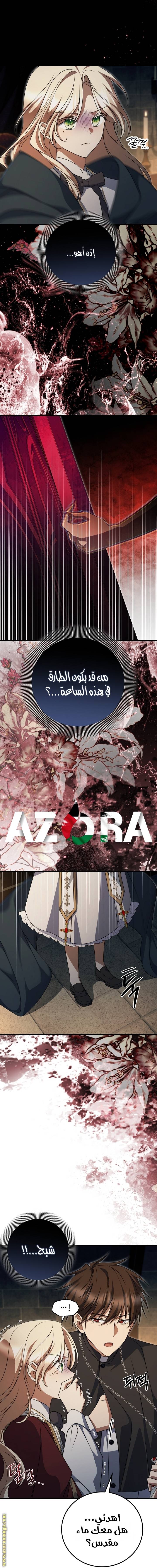 الصفحة 17