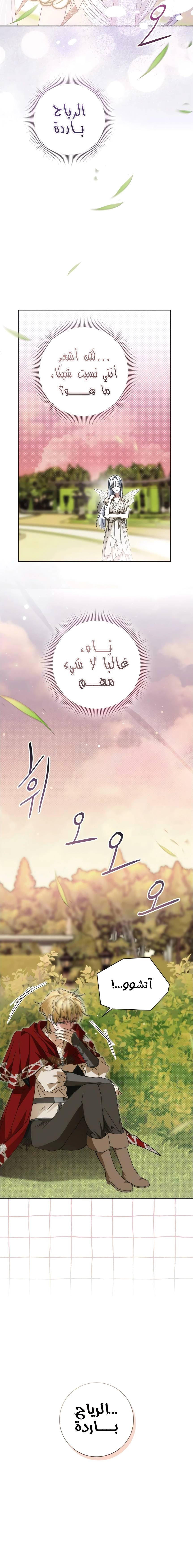 الصفحة 13