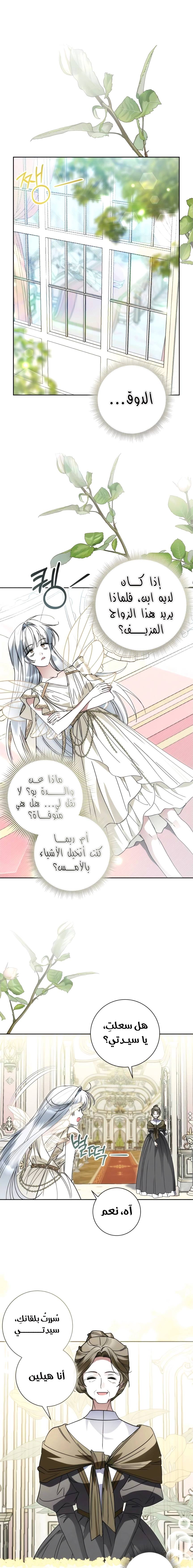 الصفحة 14