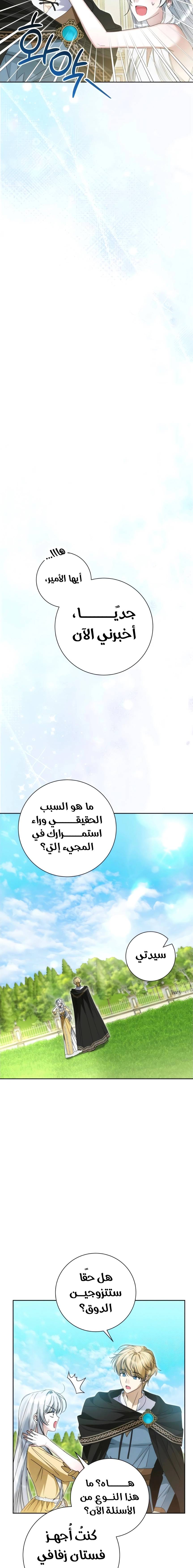 الصفحة 19