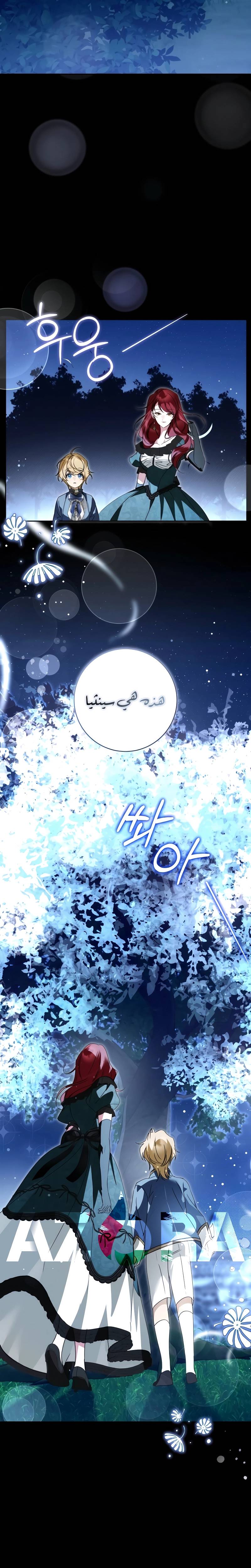 الصفحة 13