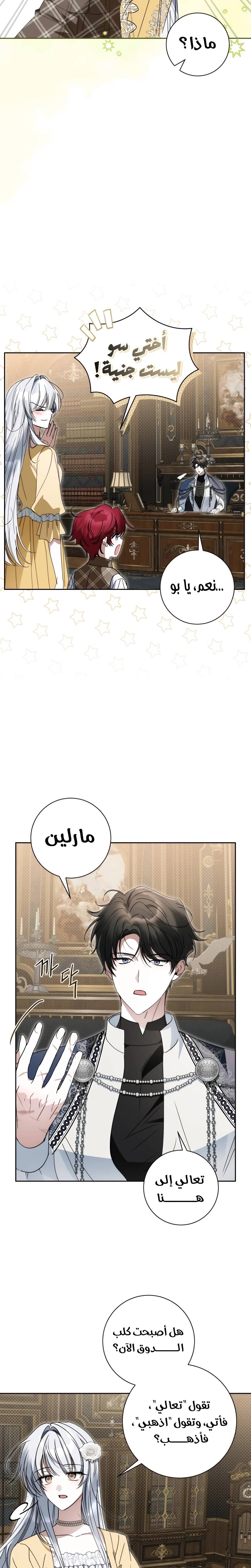 الصفحة 25