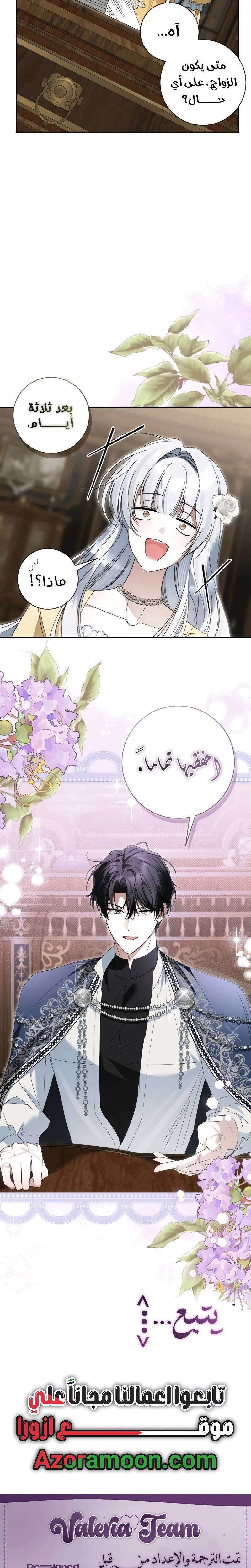 الصفحة 27
