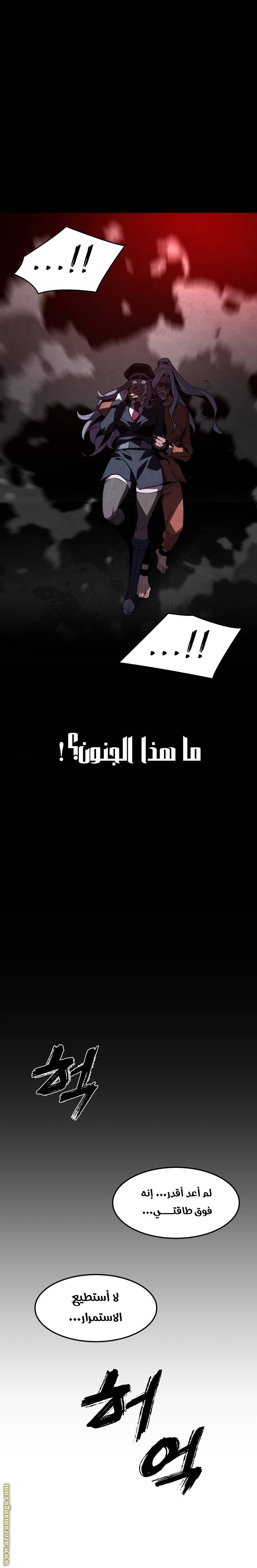 الصفحة 17