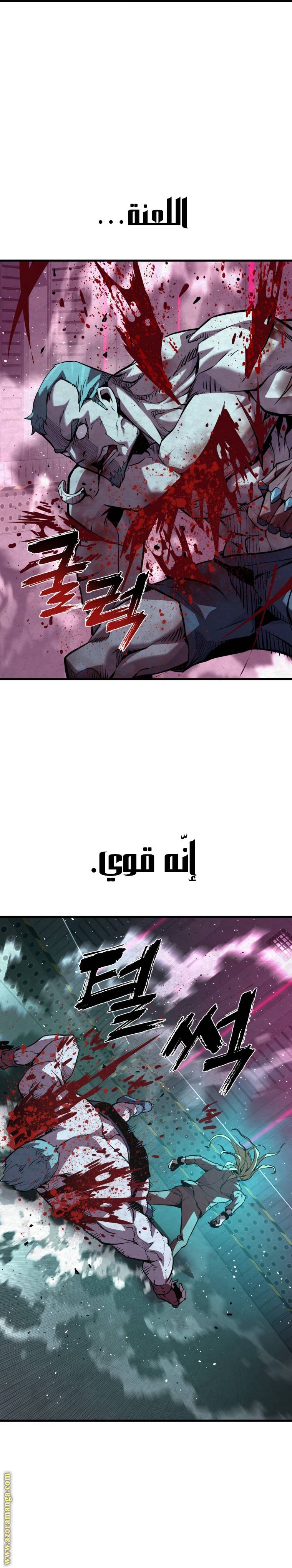 الصفحة 33