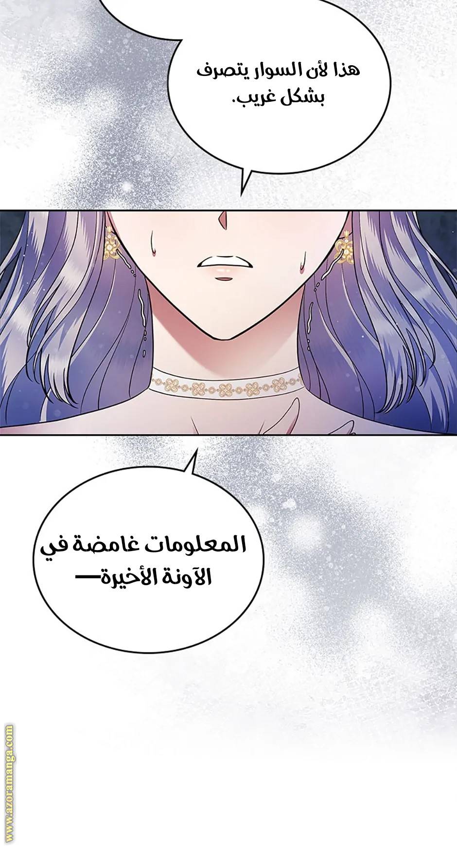 الصفحة 19