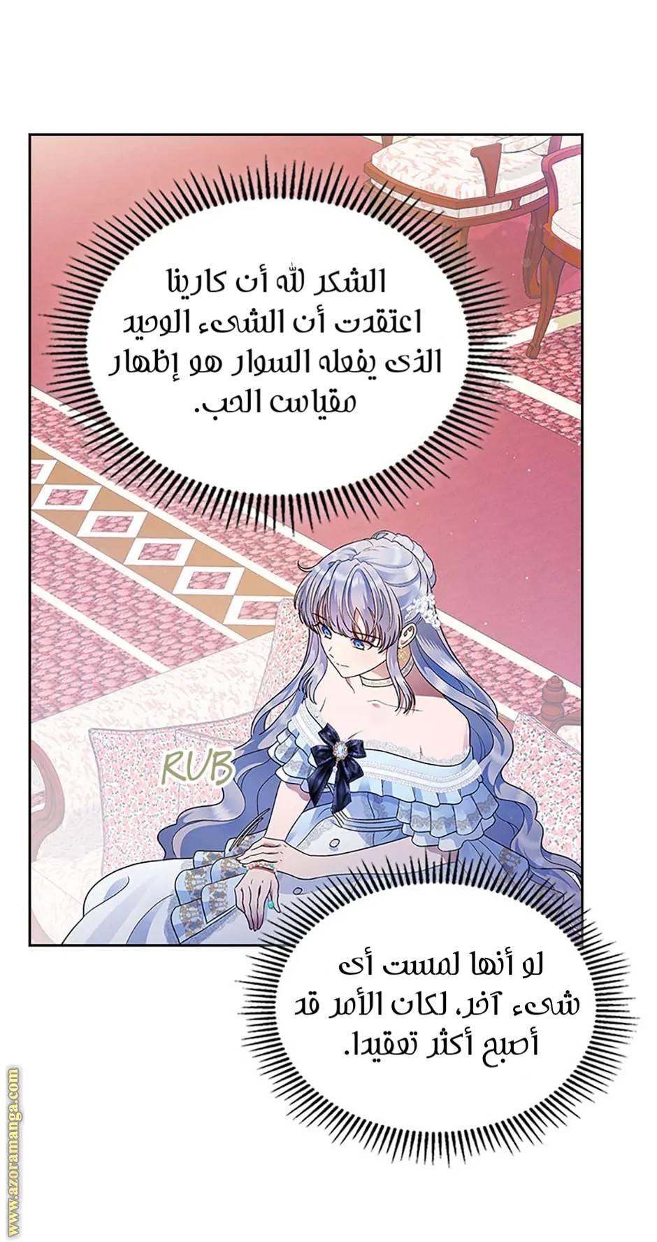 الصفحة 29