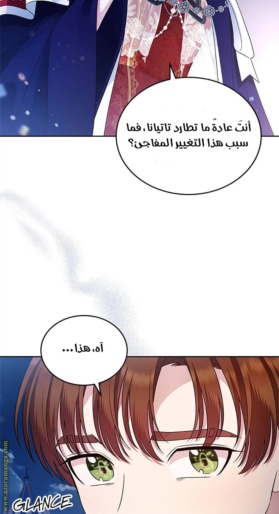 الصفحة 17